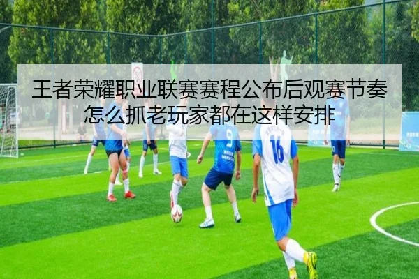 王者荣耀职业联赛赛程公布后观赛节奏怎么抓老玩家都在这样安排